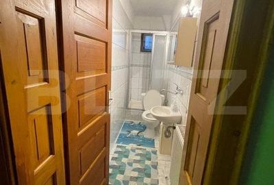 Proprietate de 486mp, 2800 mp teren,  camin sau pensiune, Sangeorgiu de Mures - 13