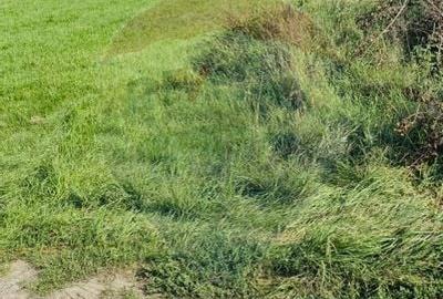 Teren 7,598mp Sighetu Marmatiei / Strada Lazul Sesului - 3