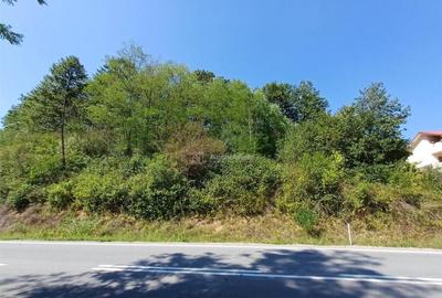 Resita, Teren Intravilan 700 Mp., 25 Euro/Mp., Calea Caranse - 4