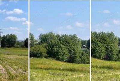 Teren de 1800 mp, în Poiana (Zvoriștea)