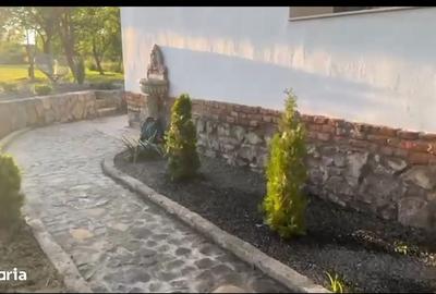 Casă cu 3 camere în Băcia - 5