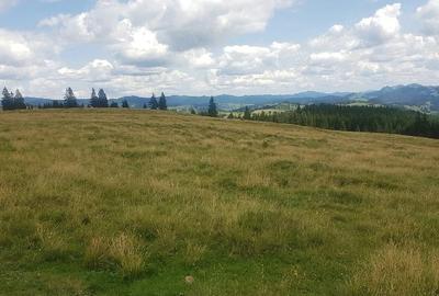 Teren de 160000 mp, în Breaza - 6