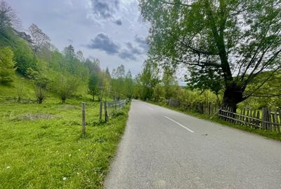 Teren Construcții intravilan de 839 mp, în Valea Doftanei - 3