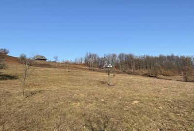 Spațiu comercial, în Șuncuiș - 7