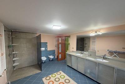 Apartament cu 3 camere decomandat în Gară - 14