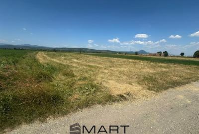 Teren 5000 mp Glajerie, zona Rasnov - 4