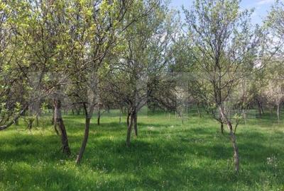 Spațiu comercial, în Ulieș - 4