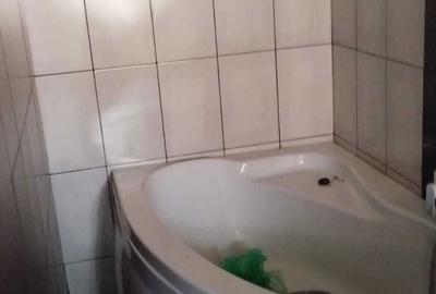 Casă în Paltiniș - 1