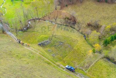 COMISION 0% Teren 8013mp Moieciu de Jos / Strada Valea cu Calea - 6