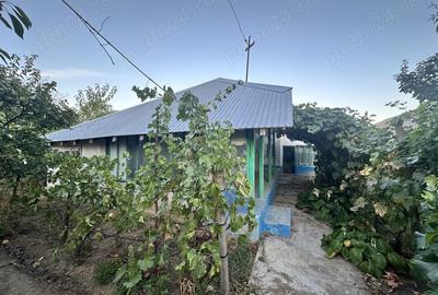 Vand casa batraneasca Vand casa batraneasca - 3
