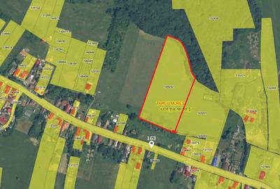 Teren Construcții extravilan de 15255 mp, în Remetea - 1