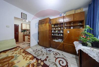 Apartament cu 1 camera, de vanzare, in Noua! - 3