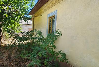 Casă cu 4 camere cu Teren 3500 Mp în Central - 7