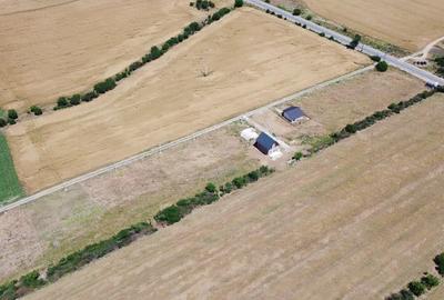 Lot Intravilan In Rate Com. Berceni | utilitati: curent/gaz | #MG4EBF - 1