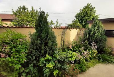 Chiajna, jud. Ilfov - 4