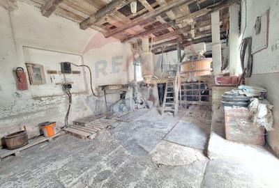 Teren Construcții intravilan de 1160 mp, în Dârlos - 4