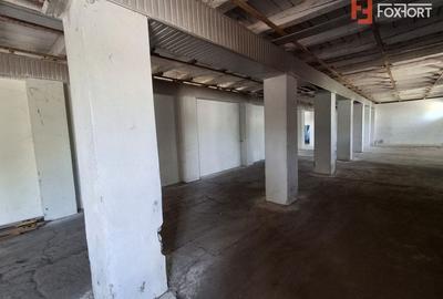 Spațiu industrial, de 695 mp, în Giulvăz - 19