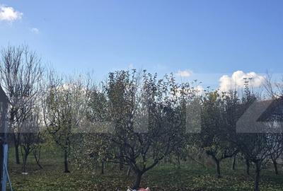 Casa 2 camere, 95 mp . Teren 4446 mp - Amati - 3