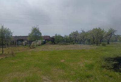 Casă individuală cu 4 camere cu Teren 3527 Mp în Dudeștii Noi - 4