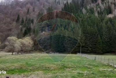 Spațiu comercial, în Sătic - 12