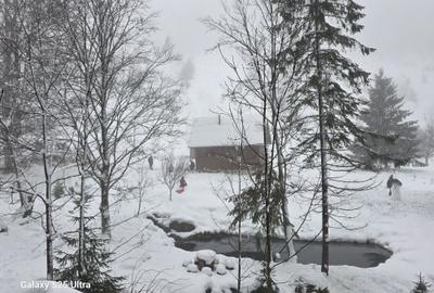 Teren de 8000 mp, în Bologa - 2