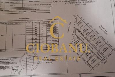Parcele de teren intravilan de vanzare zona Preajba - 1