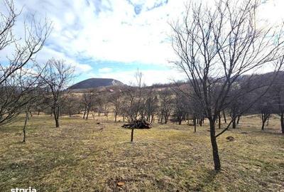 Teren de 3800 mp, în Mirșid - 1