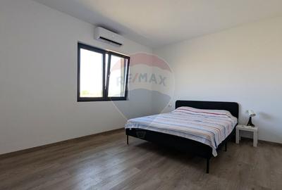 Casă individuală cu 4 camere cu Teren 573 Mp în Bâldana - 29