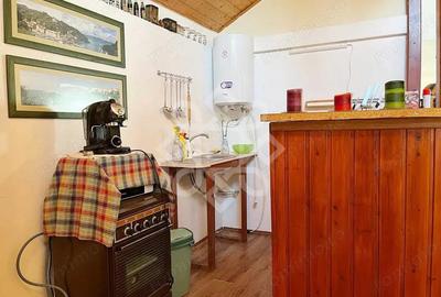 Casa cu teren 2052 mp in Saldabagiu de Munte - 16