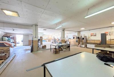 De vanzare imobil mixt birouri + hala, zona Iosefin - Comision 0% - 9