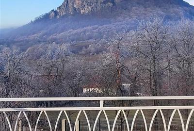 Acasa in Apuseni - 17