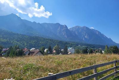 Casă cu Teren 1350 Mp în Poiana Țapului - 4