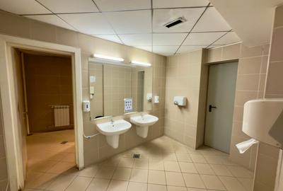 Birou, de 6,000 mp, în Victoriei - 3