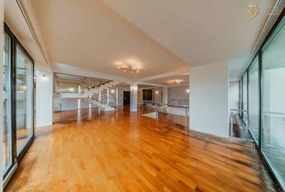 Oportunitate de afacere: spa?iu de inchiriat 650 mp in Arad - 18