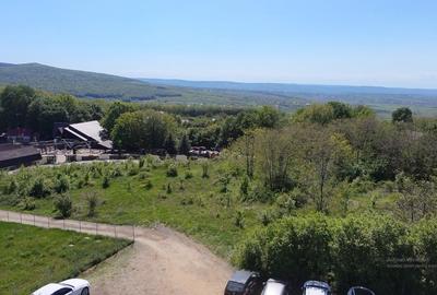 Teren Construcții intravilan de 1700 mp, în Pietrărie