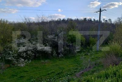 Teren extravilan de 99930 mp, în Exterior Vest - 3