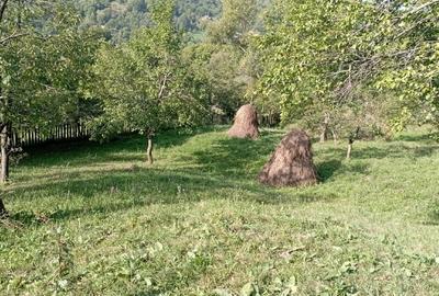 Teren intravilan de 9000 mp, în Secăria - 5