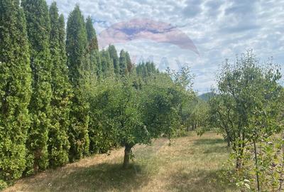 DE VANZARE Vila de vacanta in Pucioasa /Dambovita - 40