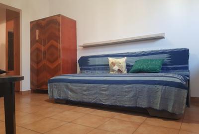 Inchiriere garsoniera metrou Dristor, etaj intermediar, 270 euro - 3