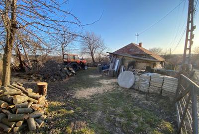 Spațiu comercial, în Șerbăuți - 1