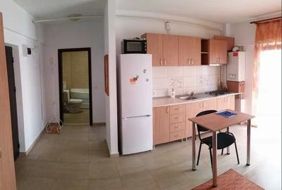 Apartament cu 2 camere semidecomandat, mobilat în Nicolina - 5