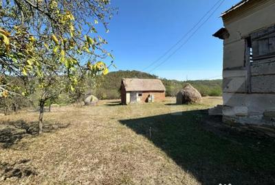 Teren de 14000 mp, în Vințu de Jos - 1