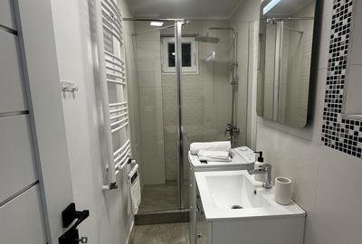 Apartament cu 2 camere decomandat, mobilat în Theodor Pallady - 16