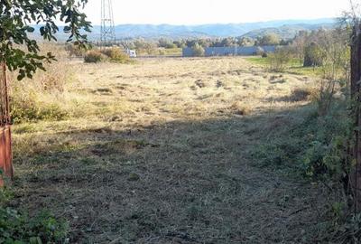 Vand casa Campurisurduc la 30 km de Deva,10 km intrare autostrada Ilia,jud Hunedoara - 9