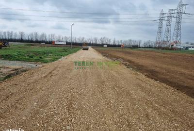 Teren de 4000 mp, în Frumușani - 4