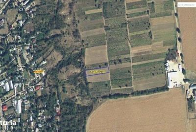 Teren de 2000 mp, în Negrilești - 3