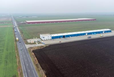 De Inchiriat Spatiu industrial si Birouri 3700 MP Teren 24895MP Sindrilita DN2 - 16