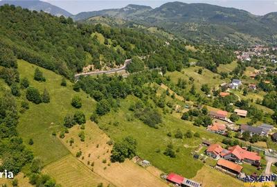 Teren de 4409 mp, în Moieciu