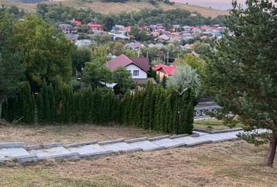 Casa de vanzare Soveja-Vrancea - 47