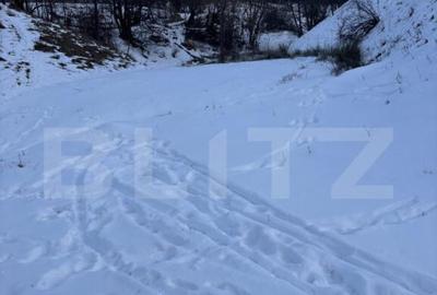 Teren de vanzare in Vorone?, 6000 mp + o casa batranea - 1